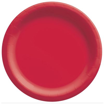 10” dinner paper plates 20ct