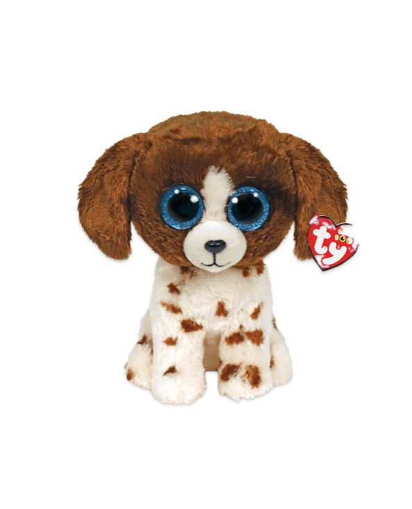 Muddles BROWN AND WHITE DOG, SIZE &amp; VARIETY: S