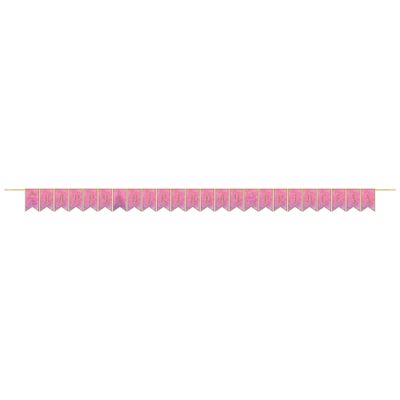 Disney Princess Pennant Banner