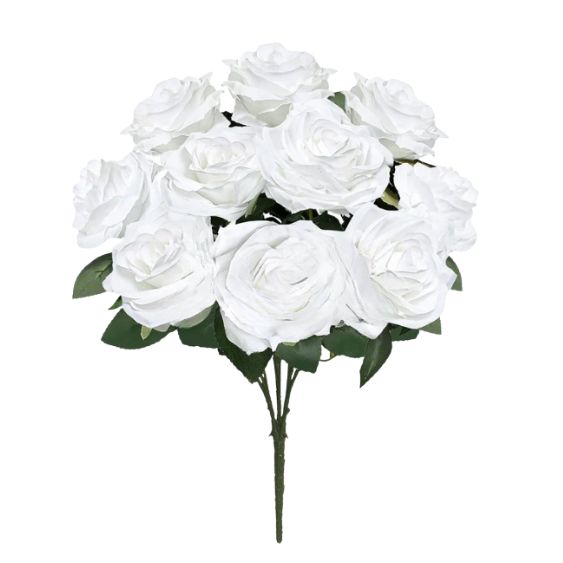 Deluxe Queen Rose Bush x 10 Head, 18in height, Color: White