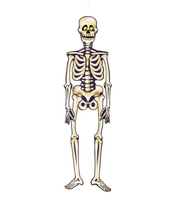 Halloween Jointed Skeleton