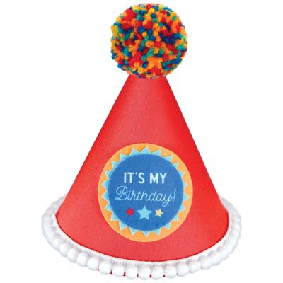 “It’s My Birthday ” Boy Cone Hat – 8.5"