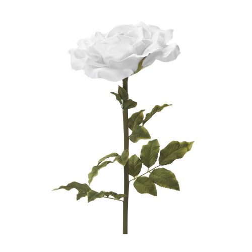 Jumbo Rose – White, 44"