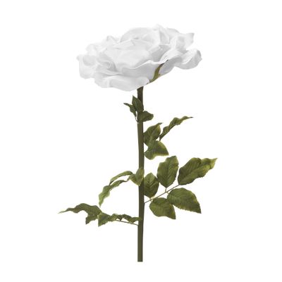 Jumbo Rose – White, 44"