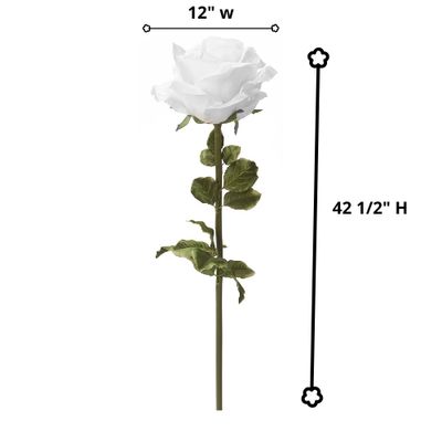 Jumbo Rose – White, 42½"