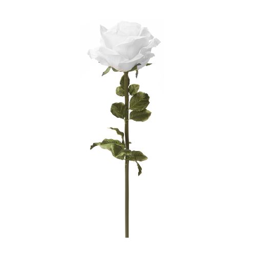 Jumbo Rose – White, 42½"