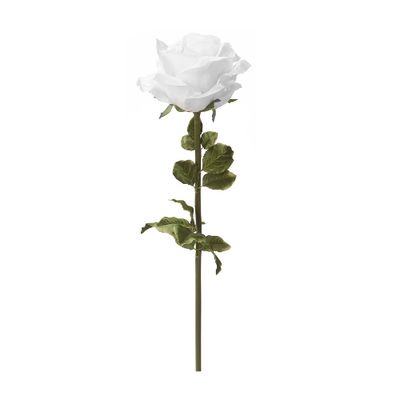 Jumbo Rose – White, 42½"