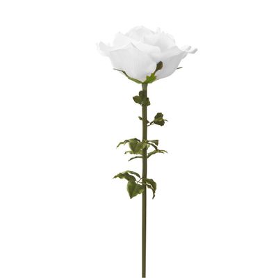 Jumbo Rose – White, 53"