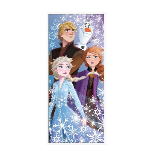 Disney Frozen 2 Door Poster, 27" x 60"