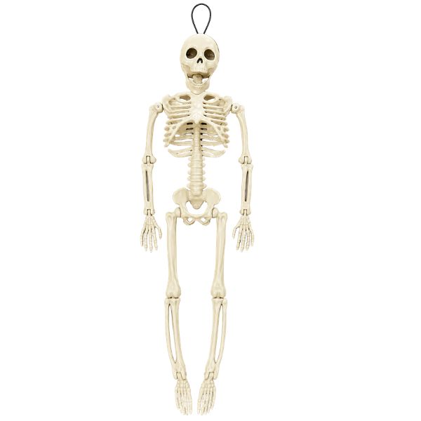 15" Plastic Hanging Skeleton Halloween Decoration – 1 Pc