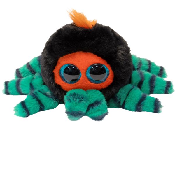 Crawley adorable spider