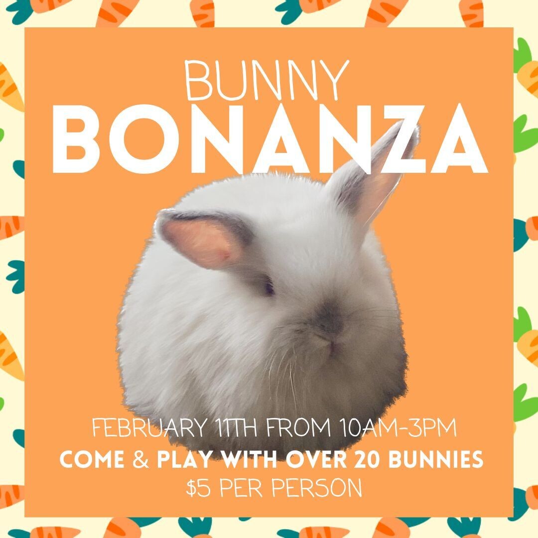 Bunny Bonanza