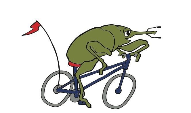 Boll Weevil 100 Virtual 20 & 40 Mile Entry Fee