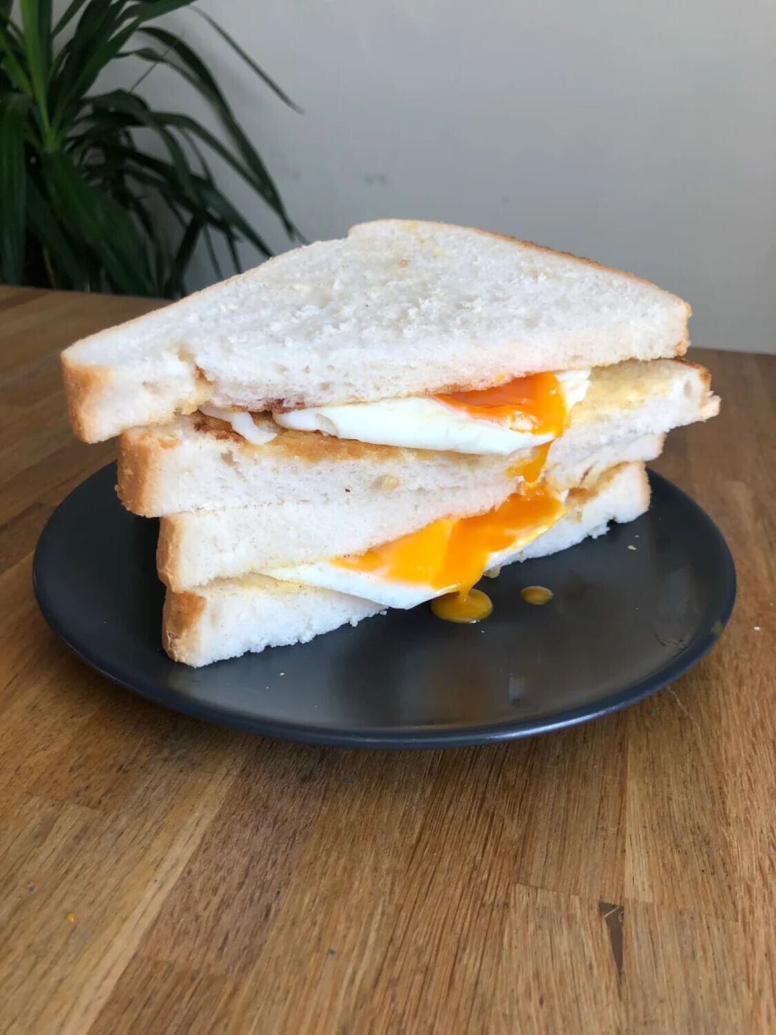 Fried Egg Sandwich