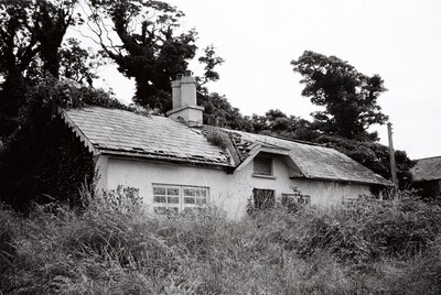 Ilford Delta 400 36exp 35mm Black & White Film