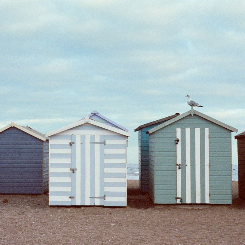 CineStill 800T 35mm 36exp Film