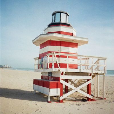 Kodak Portra 800 35mm Single Film Roll