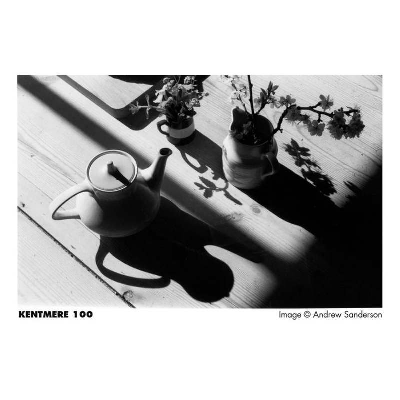 Kentmere 100 - 120 Film