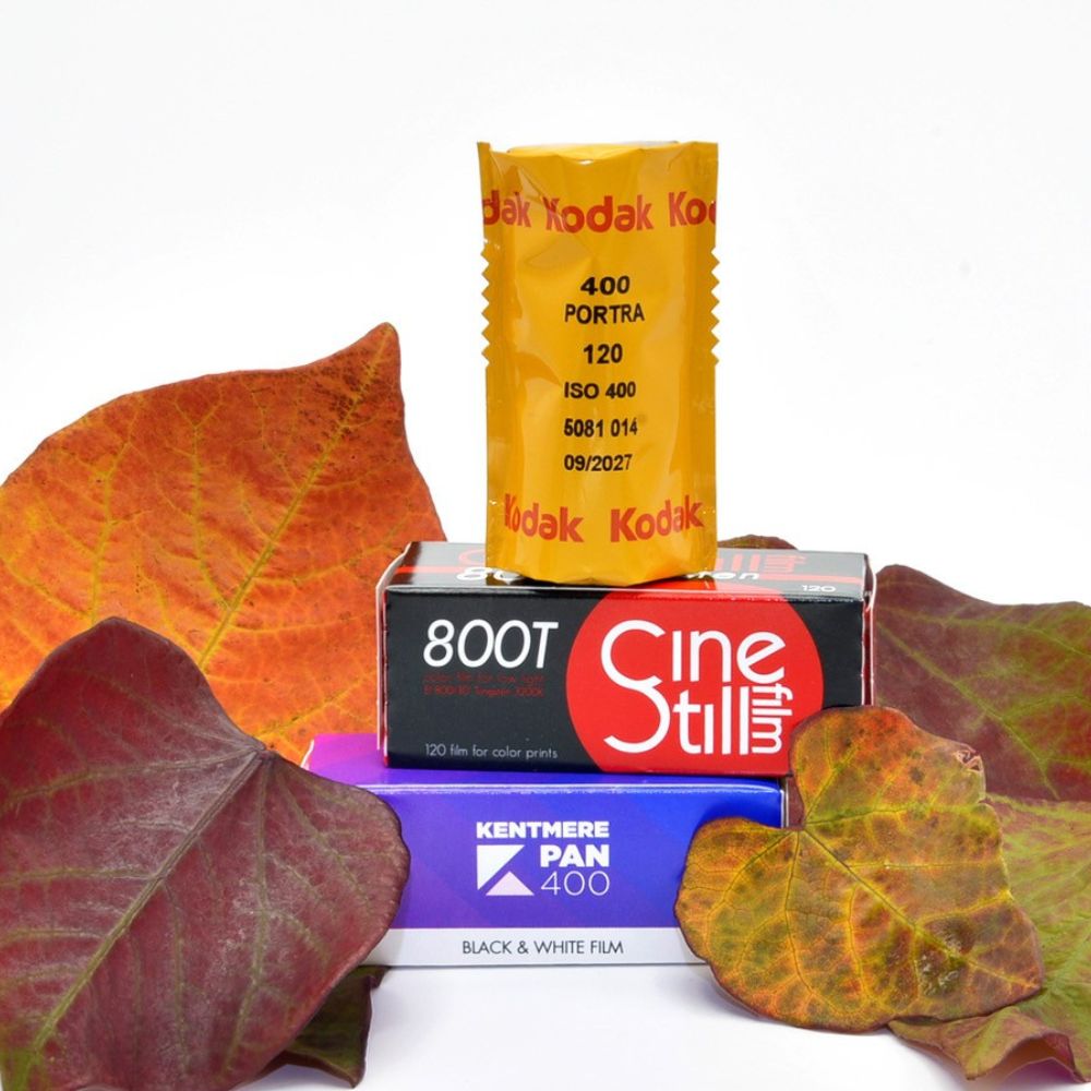 Autumn 120 Film Bundle