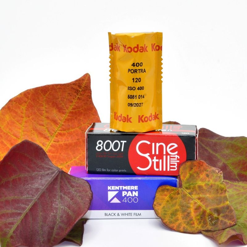 Autumn 120 Film Bundle