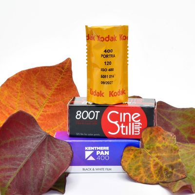 Autumn 120 Film Bundle