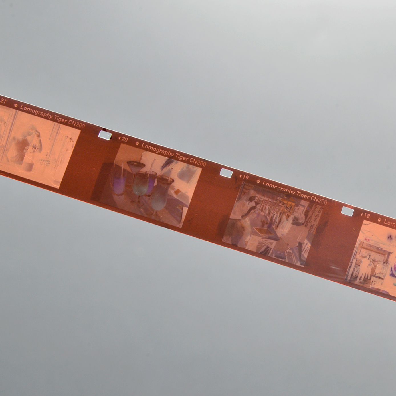 110 Negative Scanning (Per Frame)