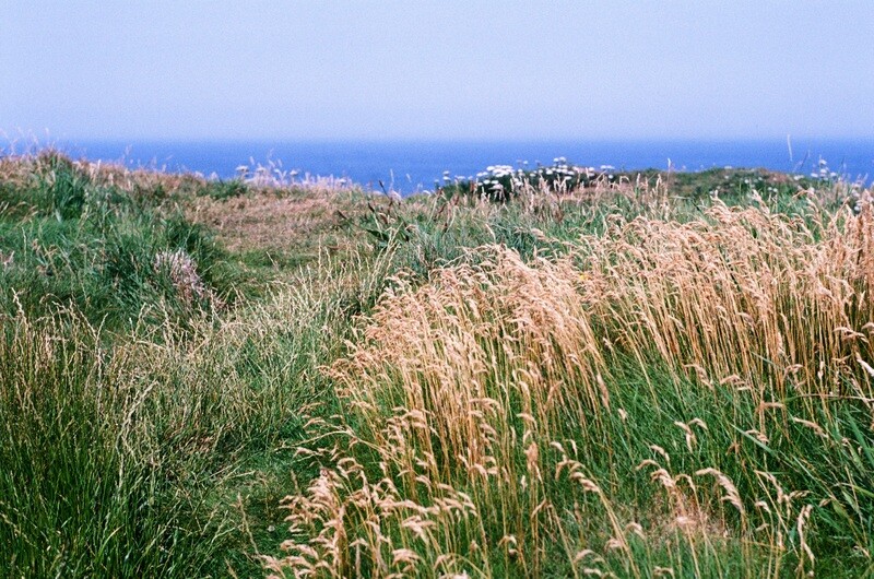 Kodak Colorplus 200 35mm Film
