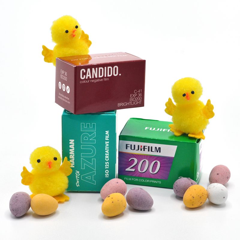 Spring 35mm Film Bundle