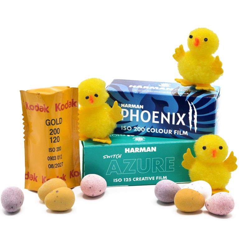 Spring 120 Film Bundle