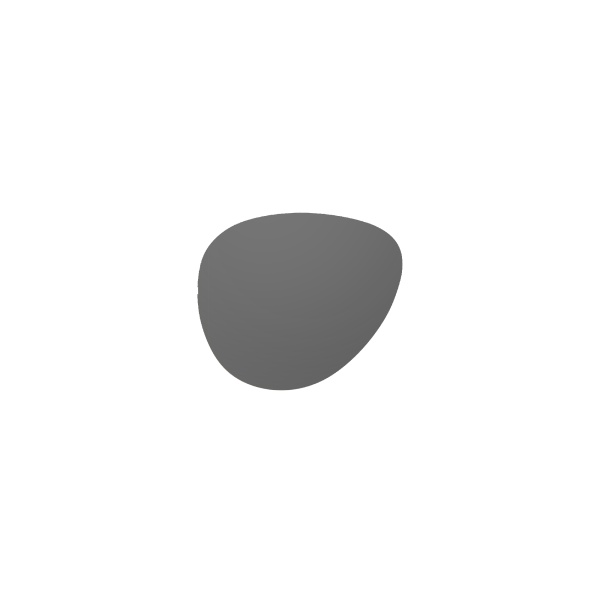 Replacement Lenses