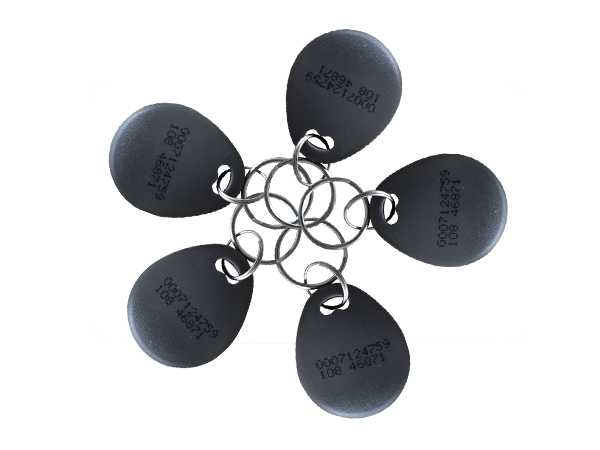 TAG CONTROL ACCES SKEY2-EM