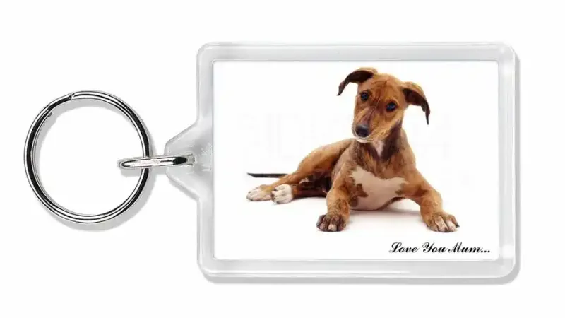 dog keyring customised