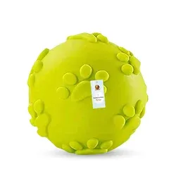 Durable and Safe Fetch Teething Dog Toy