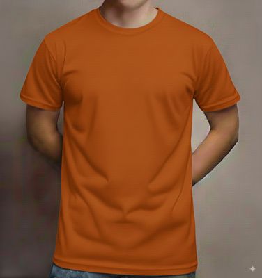 Deluxe Short Sleeve Round Neck Jersey T Shirt Texas Orange ( 72 Pcs Box)