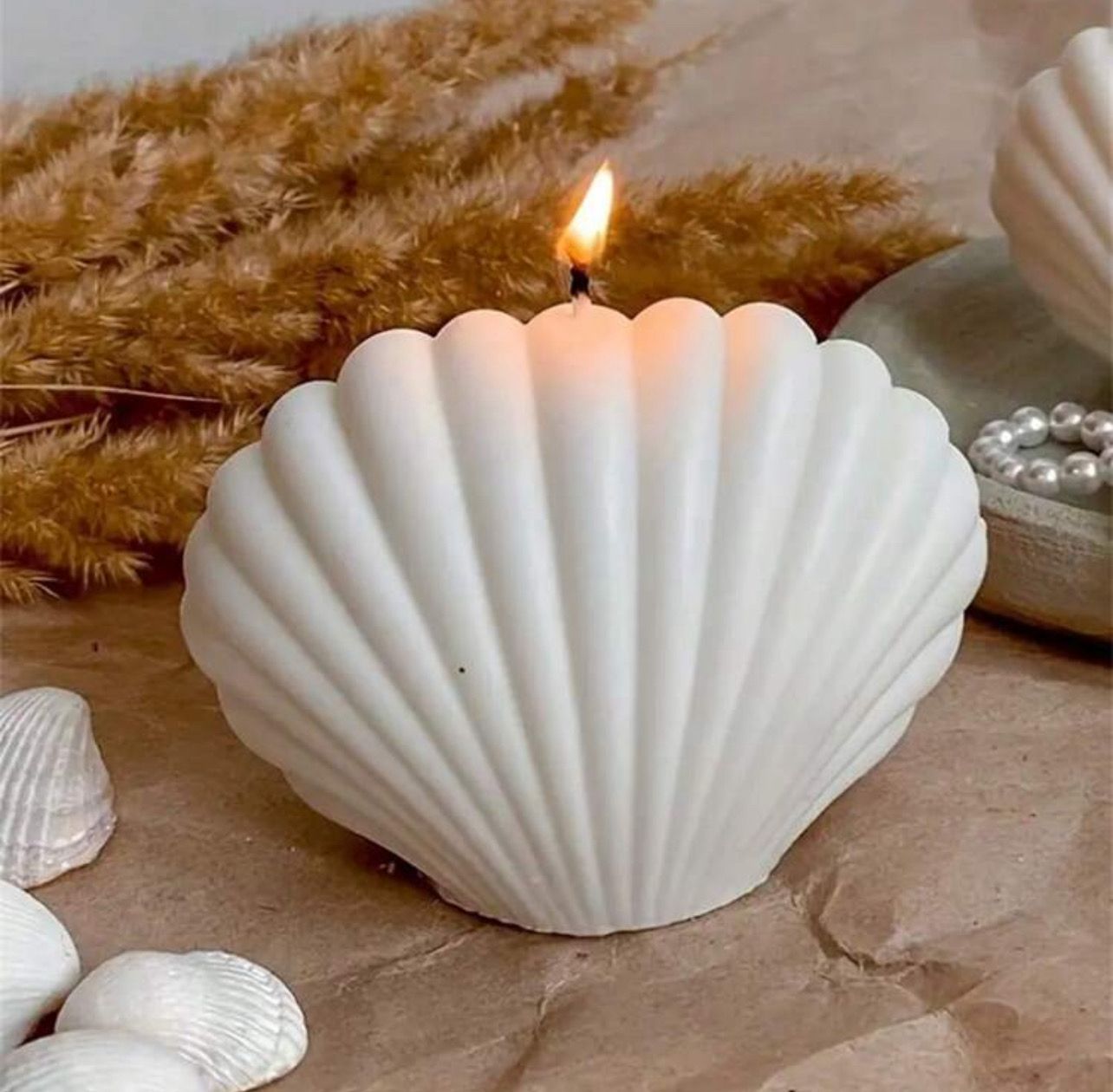 Bougie coquillages 🐚