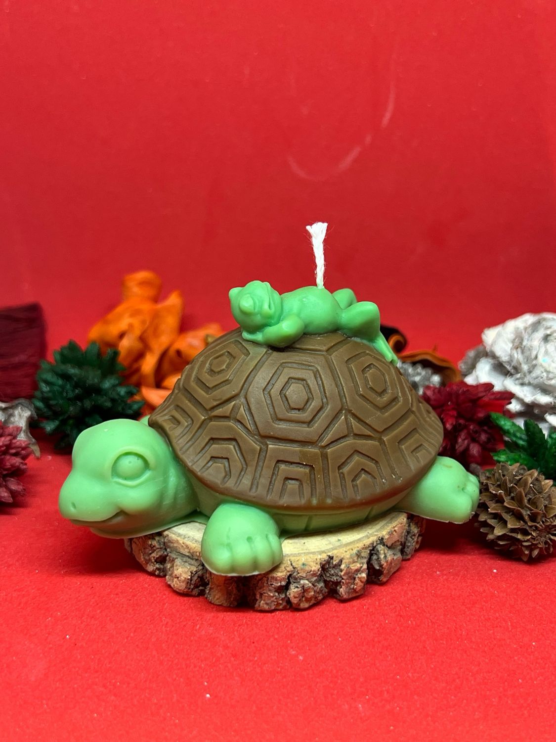Bougie Tortue 🐢