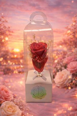 Bougie Rose éternelle 🌹