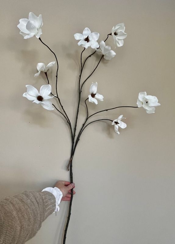 Grote Magnolia tak