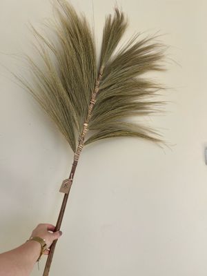 bamboe pluim