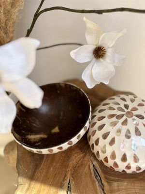 Bakje van Capiz schelp en kokosnoot