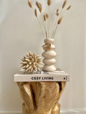 Deco bal- Schelp