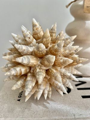 Deco bal- Schelp