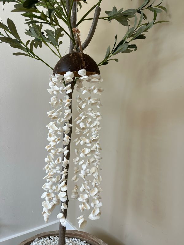 Schelpenhanger met kokosnoot