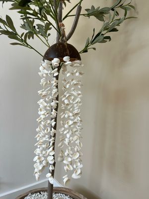 Schelpenhanger met kokosnoot