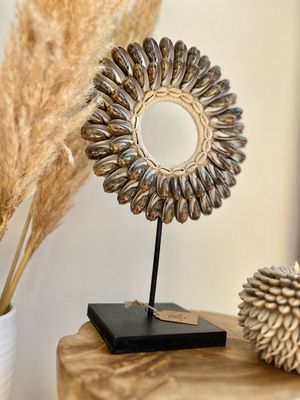 Ornament Shell Brown