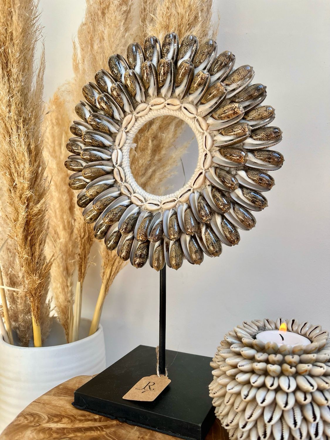 Ornament Shell Brown
