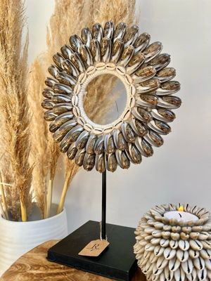 Ornament Shell Brown