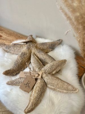 Beige/ gouden zeester
