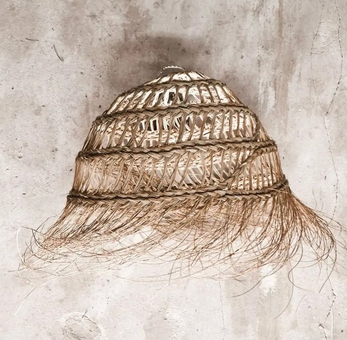 Lampenkap zeegras L