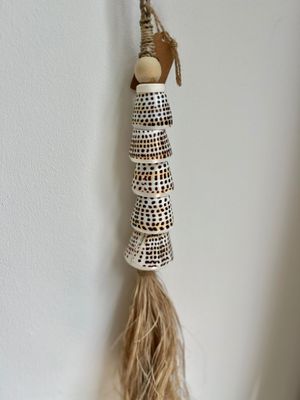 Schelpen tassel- tijger schelp